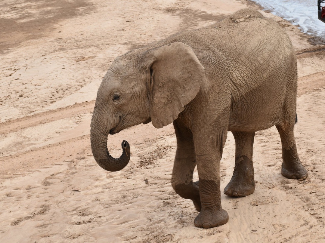 Hoanib River-Kaokoland必去景点