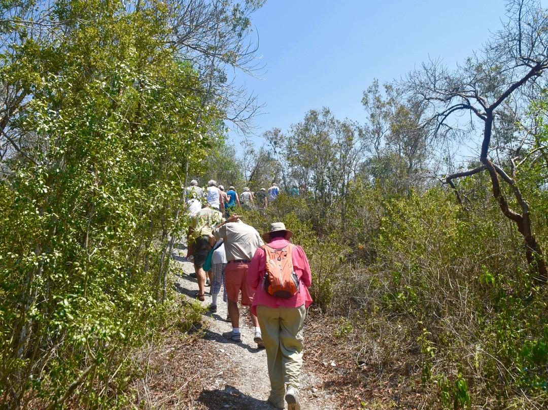 Mound Key Archeological State Park-埃斯特罗必去景点