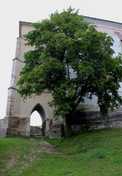 Polish gate