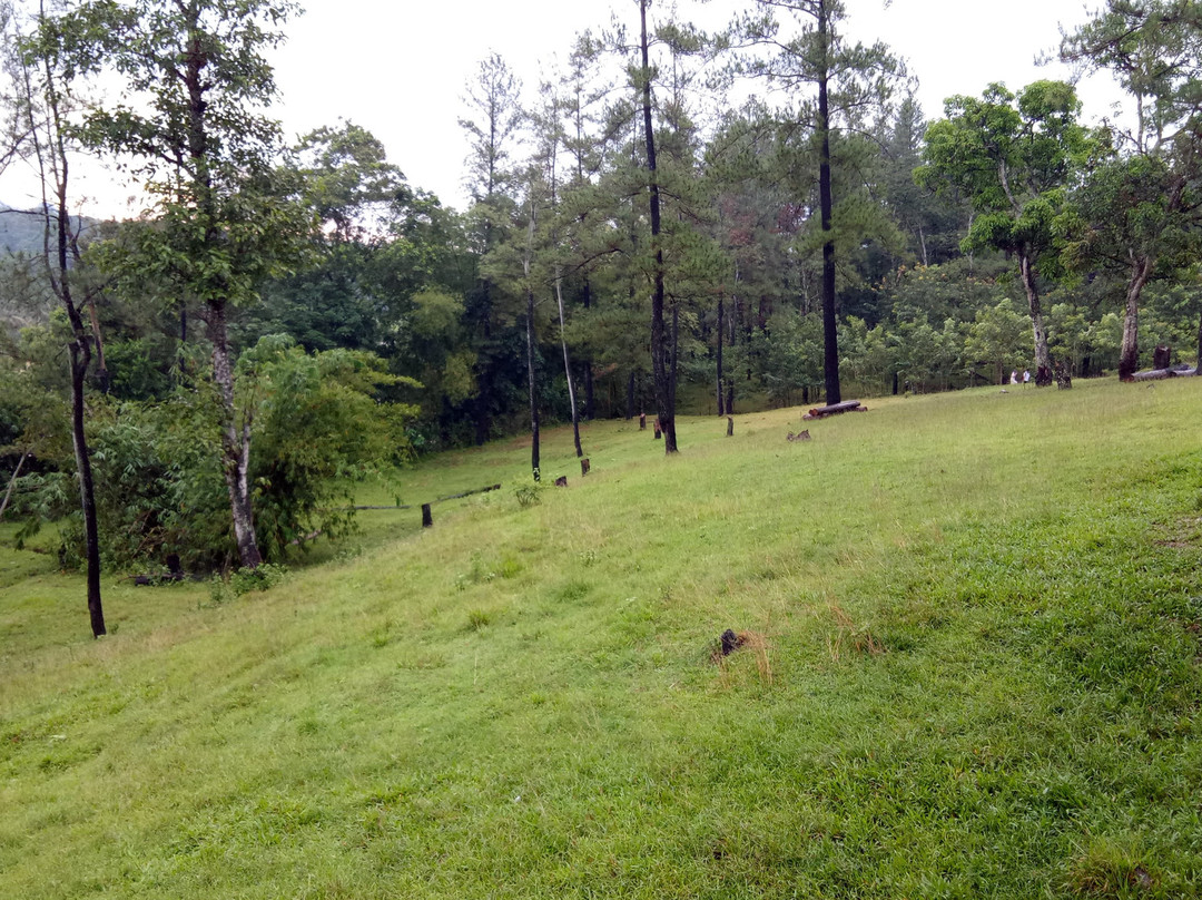 Penangkaran Rusa Cariu-茂物必去景点
