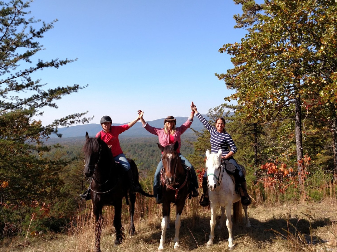 Saddle View Outfitters-Sunset必去景点