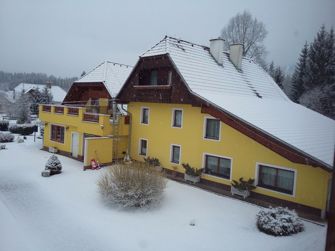 Zeutschach酒店住宿-Gasthof Seeblick