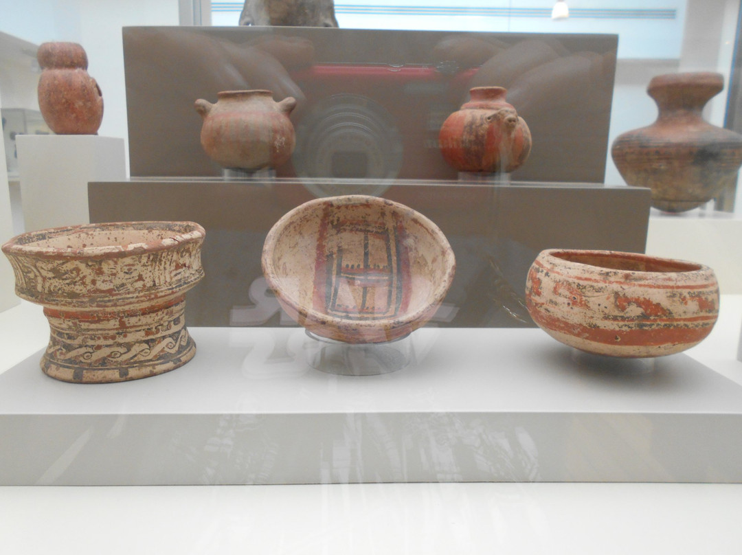 Museo de Arte Precolumbino景点图片