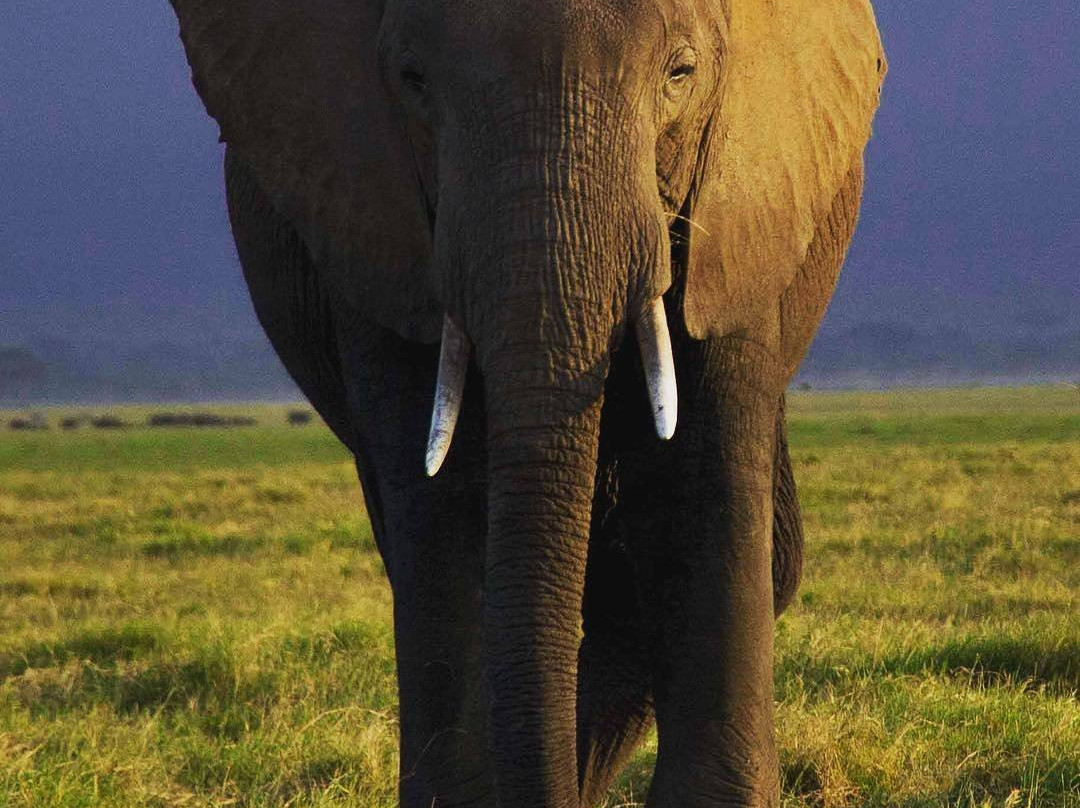 Palmridge Tours and Travels-奇安波必去景点