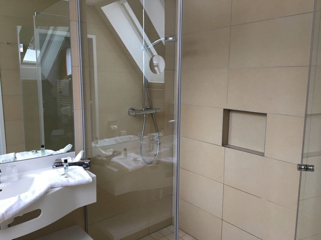 BSW - Erlebnishotel Festenburg主图