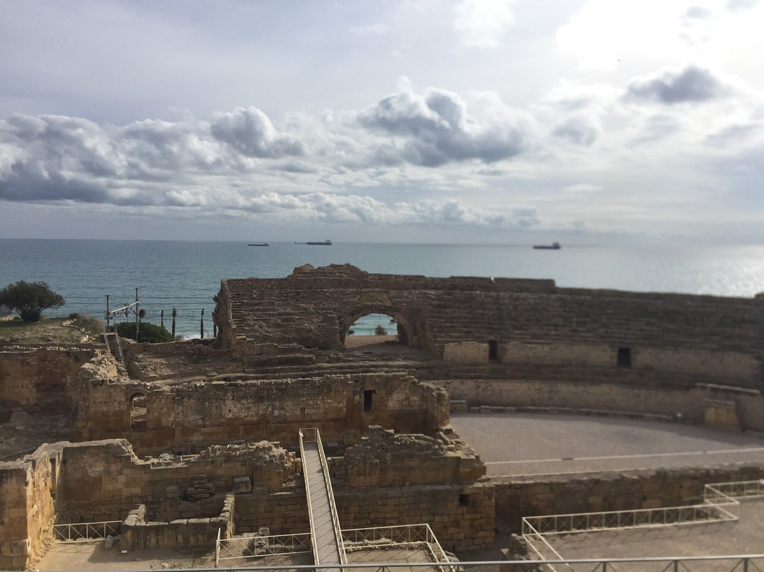 Tarraco Guide Bureau景点图片