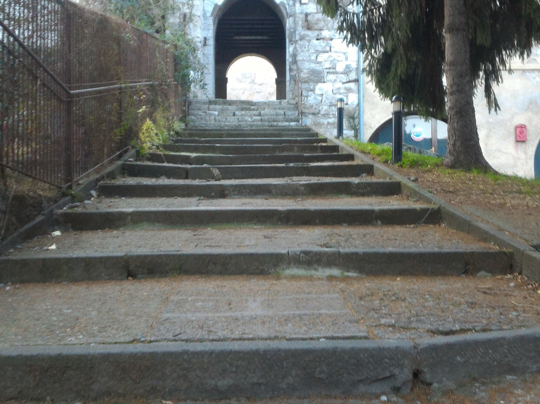 Castello Oldofredi Iseo景点图片