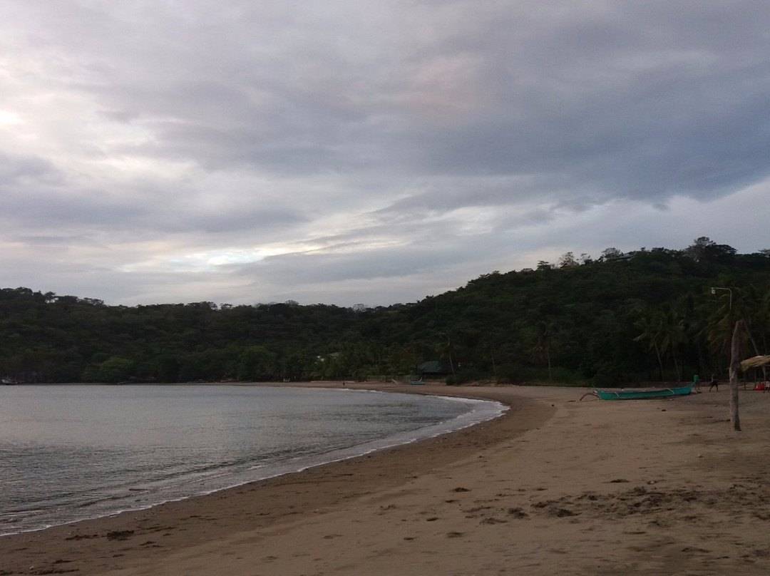 Natipunan Beach景点图片