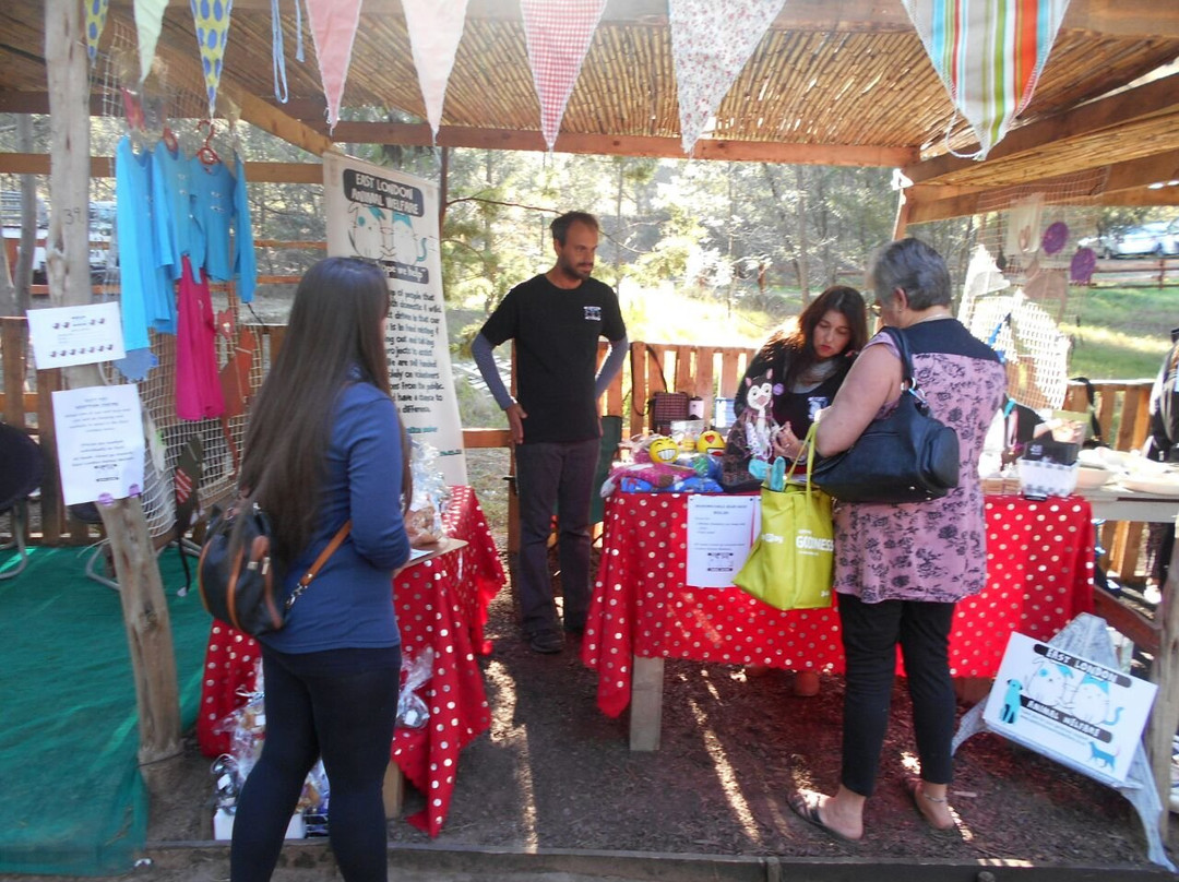 东伦敦旅游景点-Avalon Market