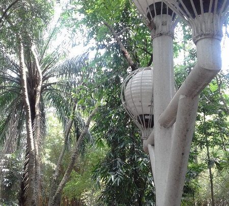 City Forest of Malabar-玛琅必去景点