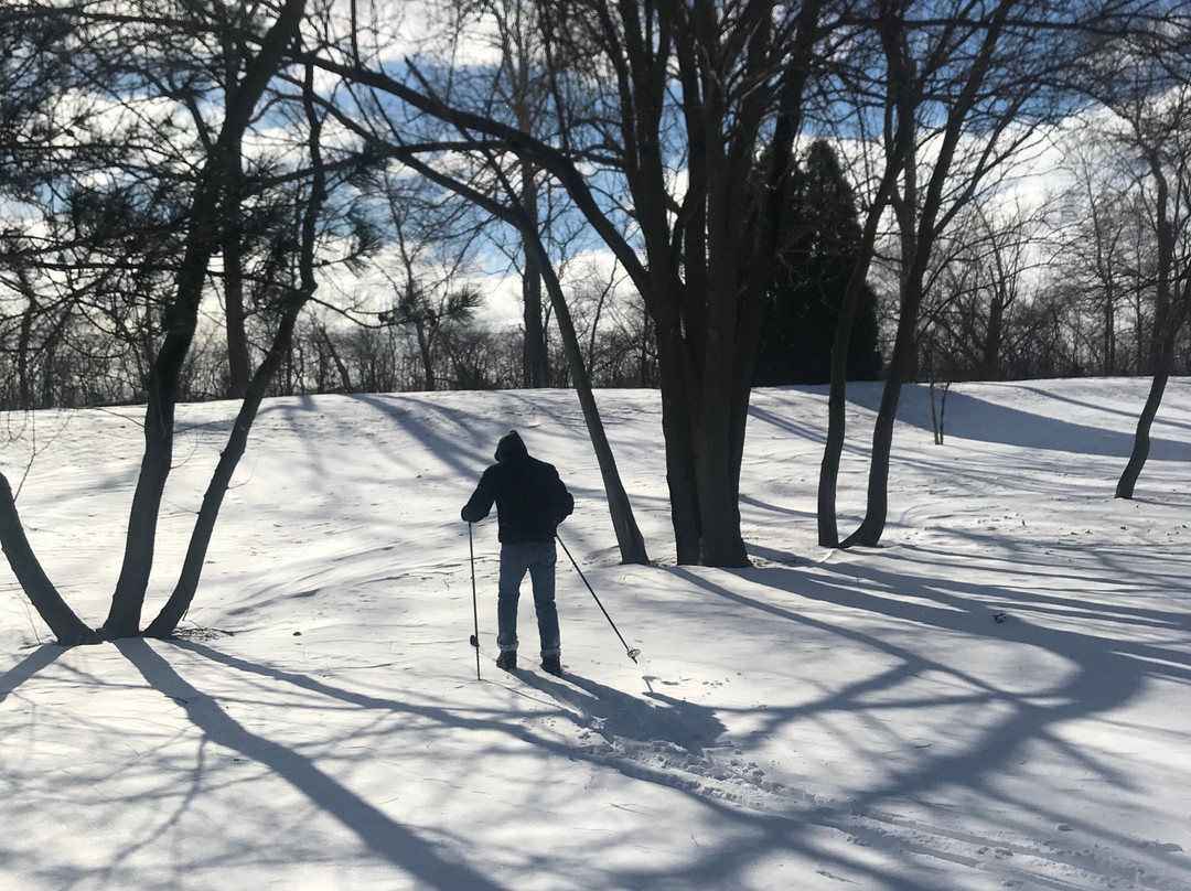 Millsite Lodge主图