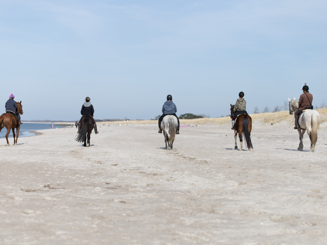 Reiten am Meer景点图片