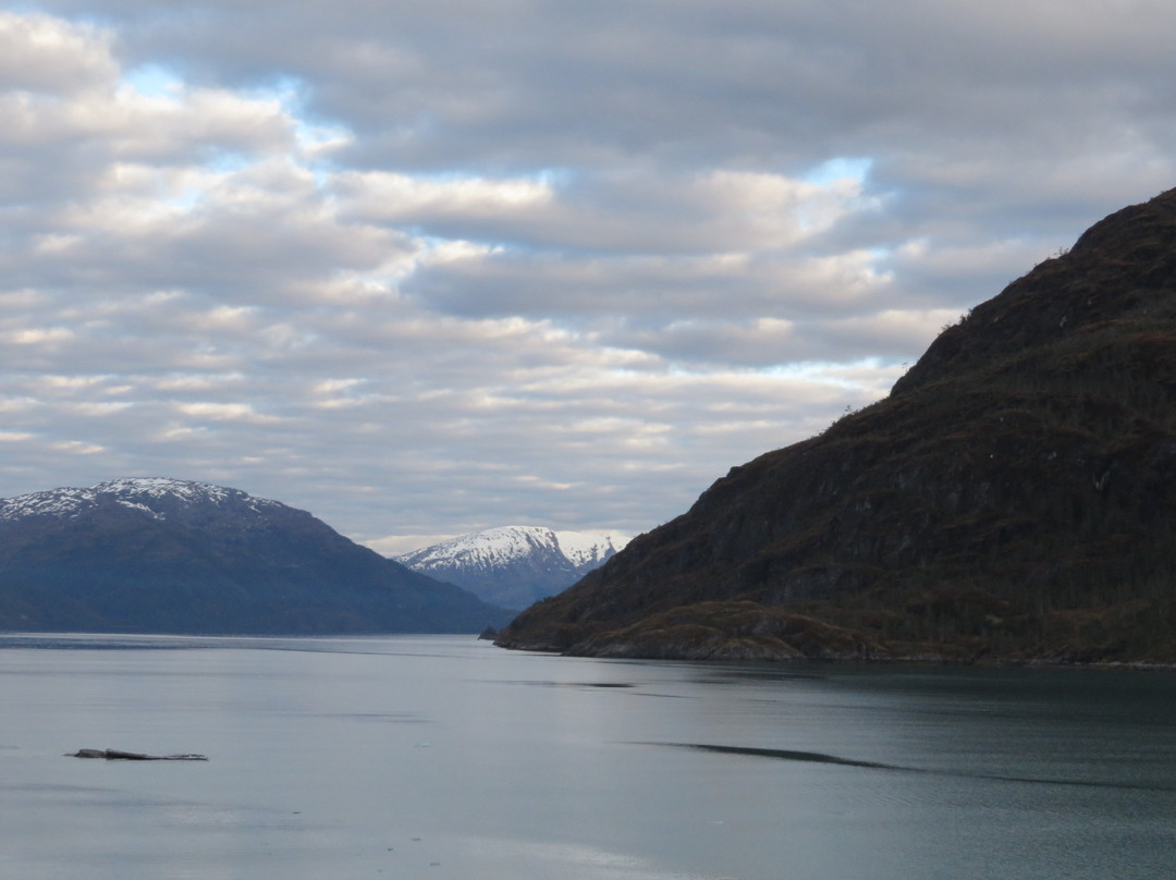 Glaciar Amalia-纳塔莱斯港必去景点