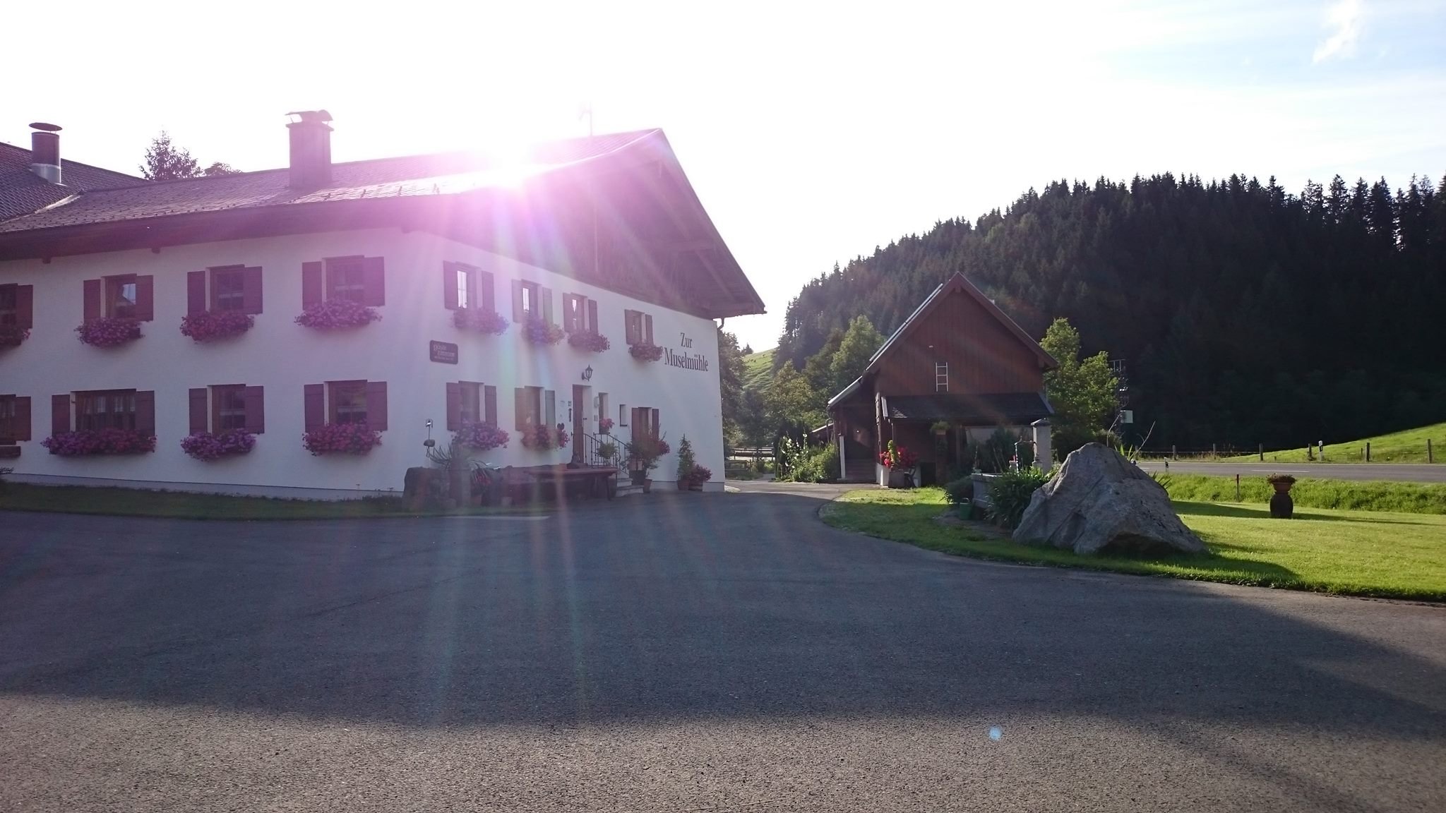 Zur Muselmühle-官方