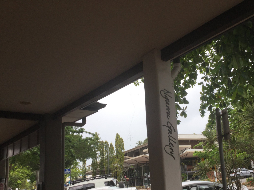 Ngarru Gallery-道格拉斯港必去景点