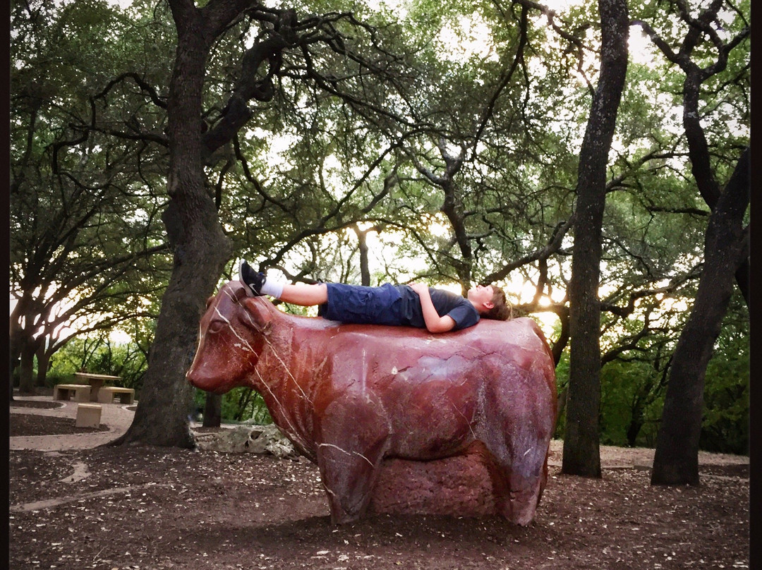 The Arboretum-奥斯丁必去景点