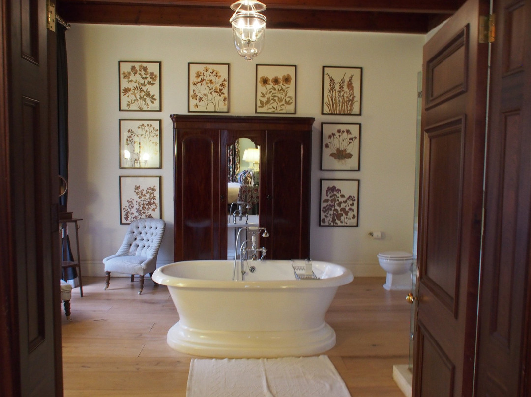 Sasa Hivi Explorers-开普敦中心区必去景点