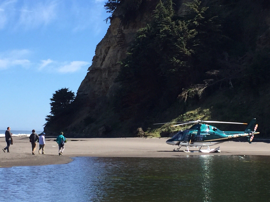 Firefly Helicopteros-圣地亚哥必去景点