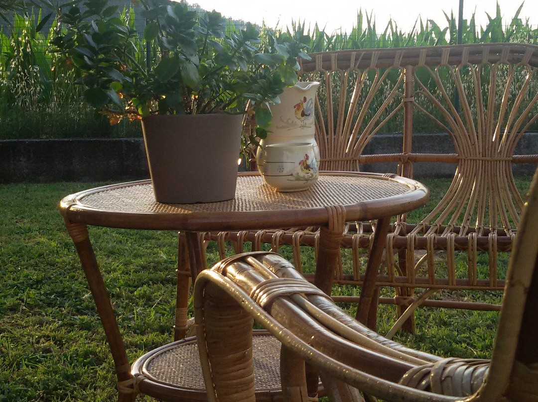 B&B Verde Vivo主图