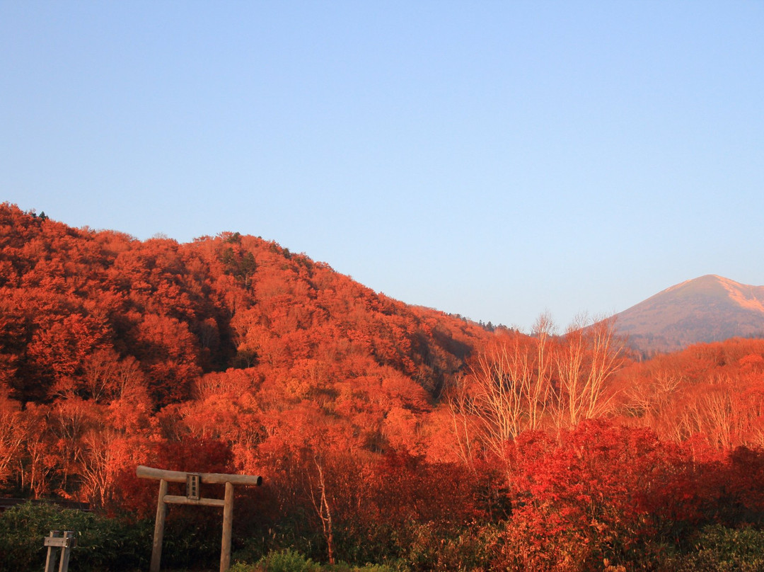 Tsutanuma Pond-十和田市必去景点