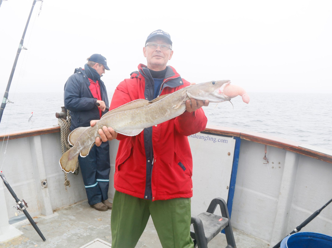 Kinsale Deep Sea Angling-金塞尔必去景点