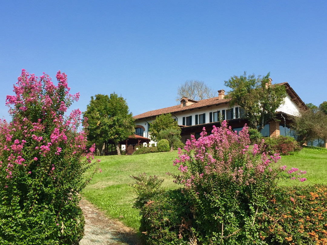 Castelletto Monferrato旅游攻略图片