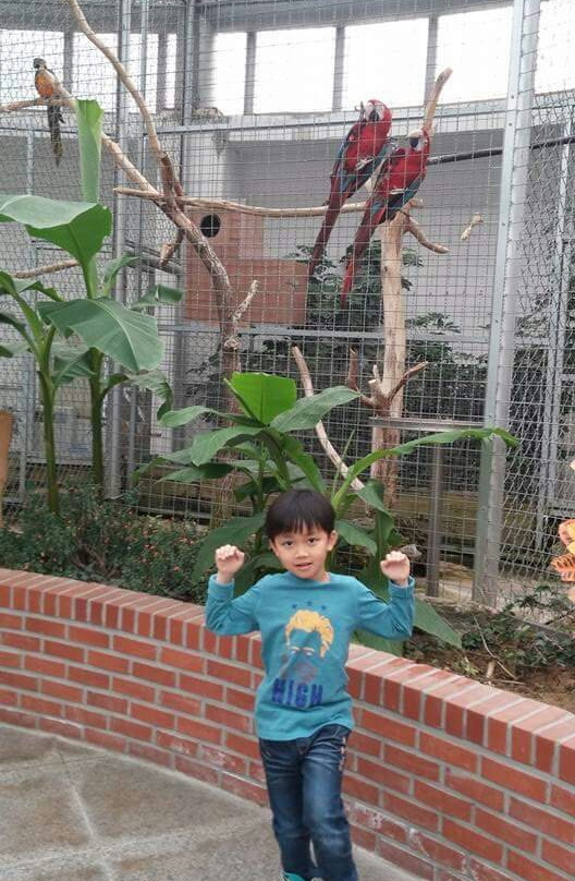 Cheongju Zoo-清州市必去景点