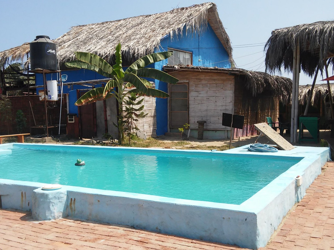 Psygon Surf Camp
