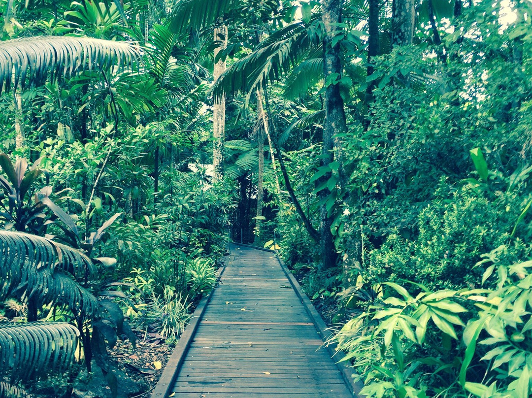 Mossman旅游攻略图片