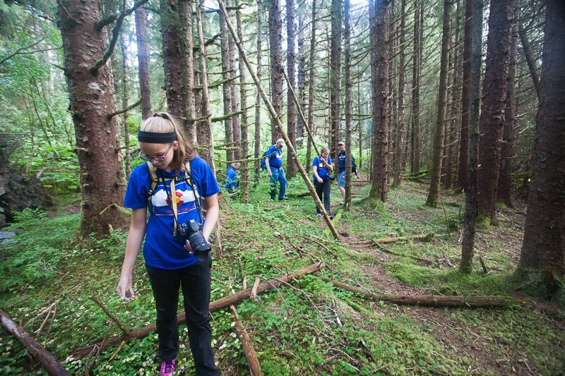 Glacier Bay Photo Tours-古斯塔夫斯必去景点