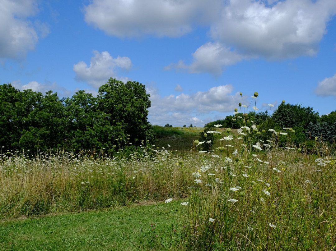 Stewart Lake County Park景点图片