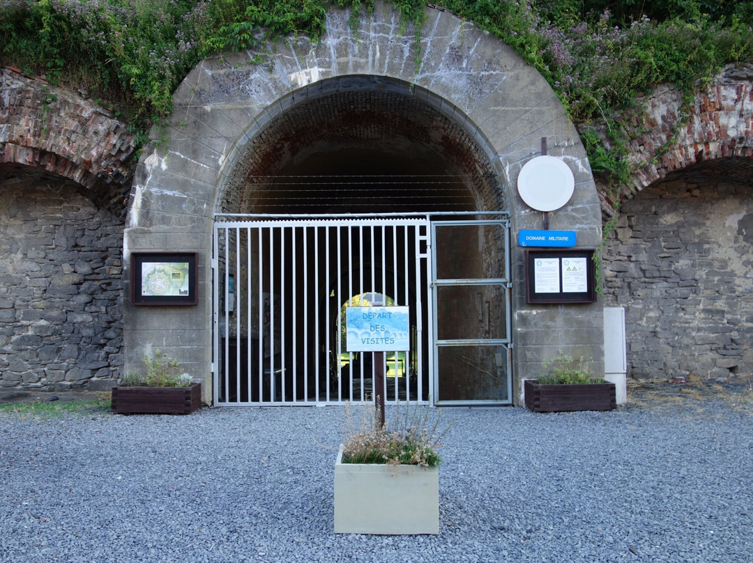 Citadel of Tournai景点图片