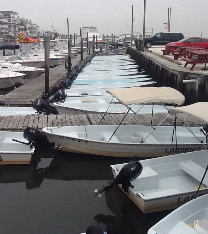 Larsen's Marina Boat Rentals景点图片