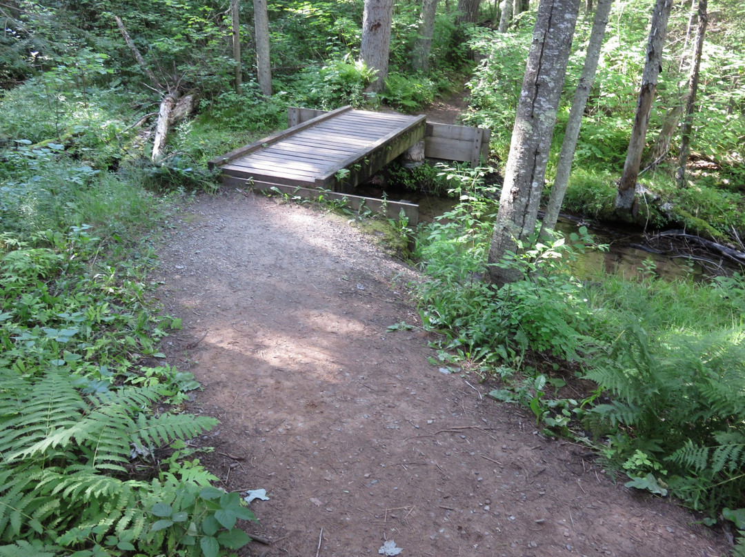 12 Foot Falls County Park-Dunbar必去景点