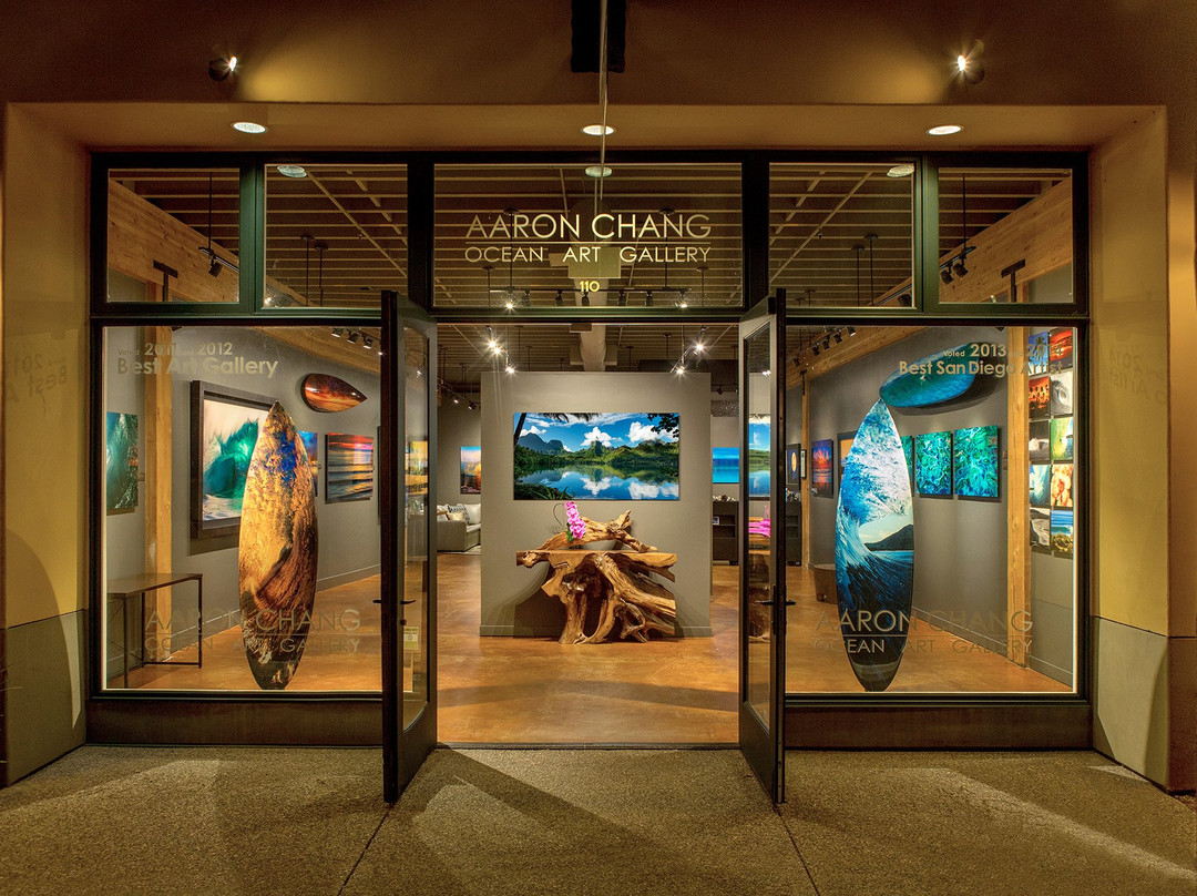 Aaron Chang Ocean Art Gallery-索拉纳海滩必去景点