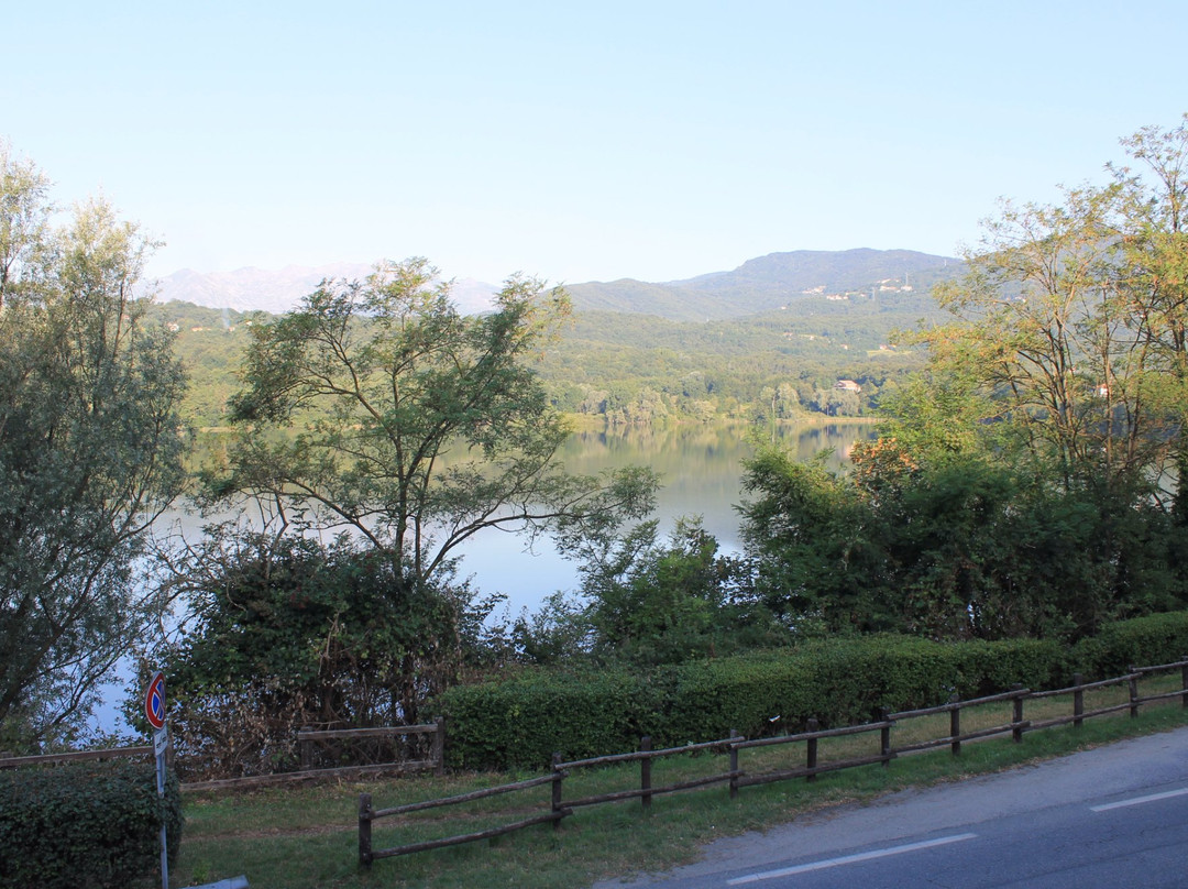 Il Gatto & La Volpe主图