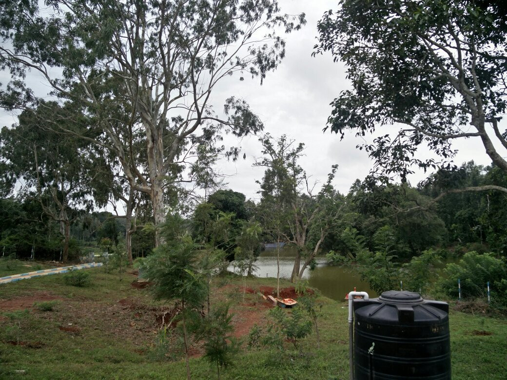 Kolli Hills Boat House景点图片