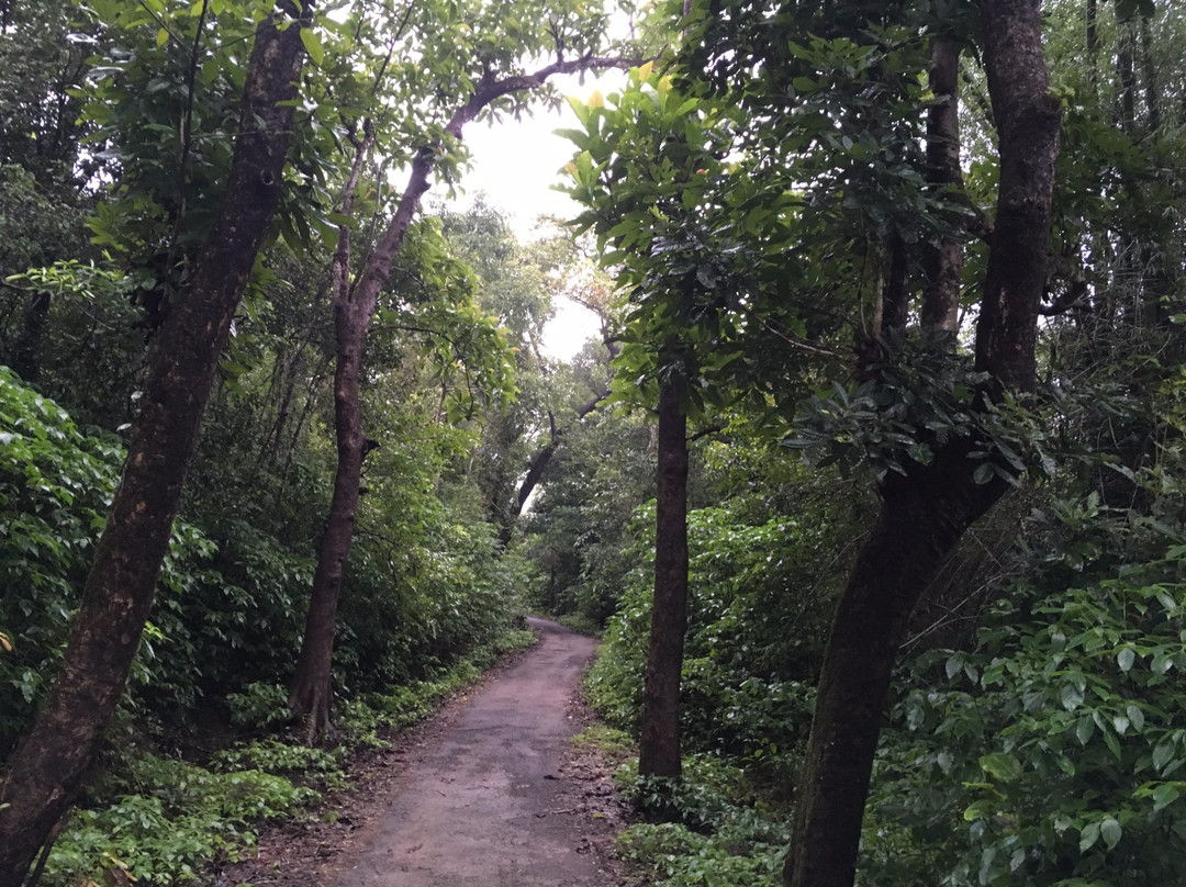 Pragati Home Stay主图