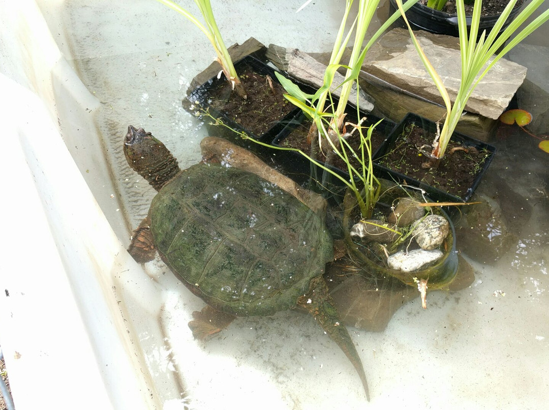 Jardins de Doris-Matane必去景点