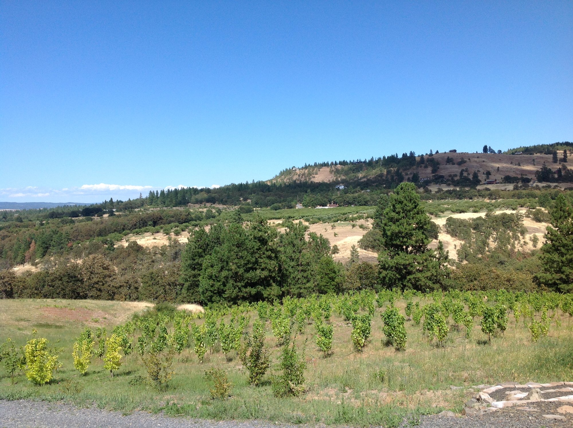 Three Sleeps Vineyard B & B-浴室