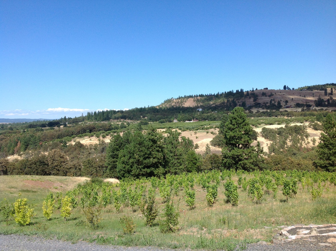 Three Sleeps Vineyard B & B主图