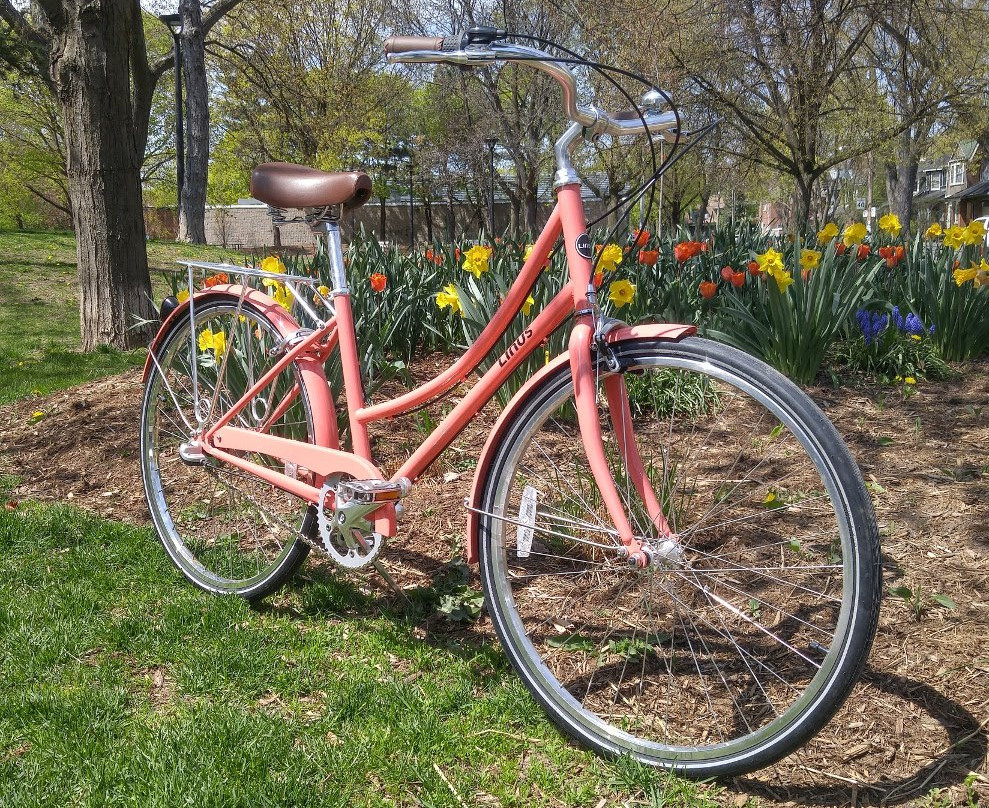 Bateman's Bicycle Company-多伦多必去景点