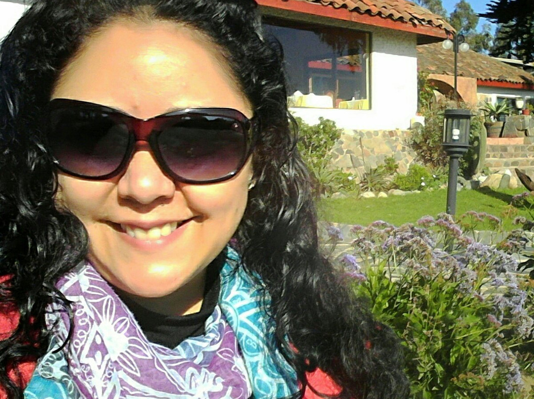 Hotel Pichidangui主图