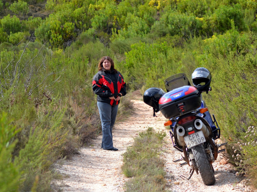 Houwhoek Pass-Botrivier必去景点