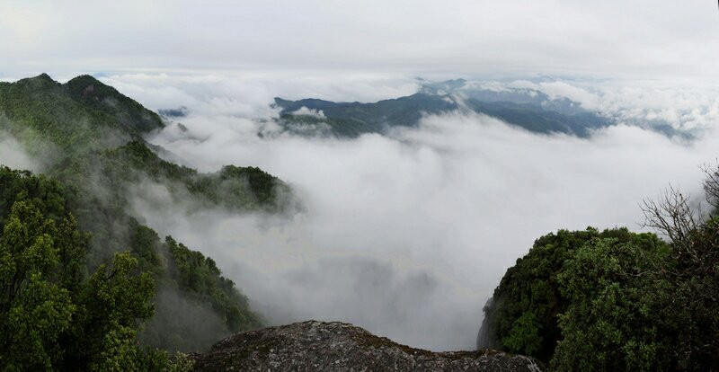 松溪白马山自然保护区-松溪县必去景点