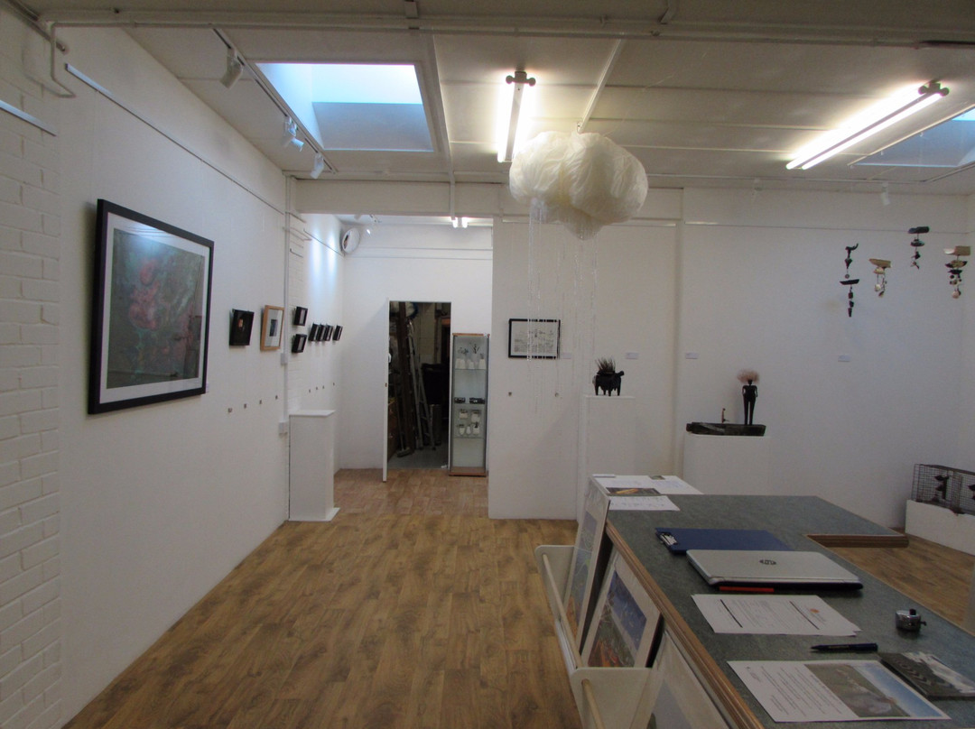 Murmurations Art Gallery景点图片
