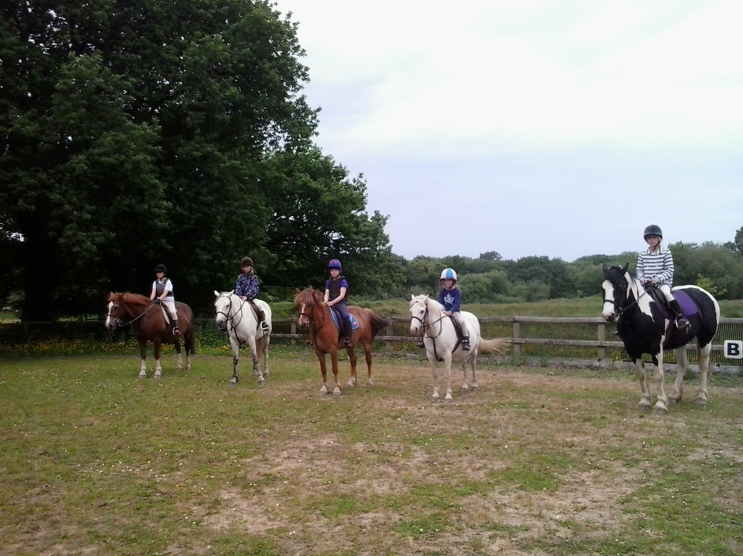 Crosswell Riding Stables-Crymych必去景点