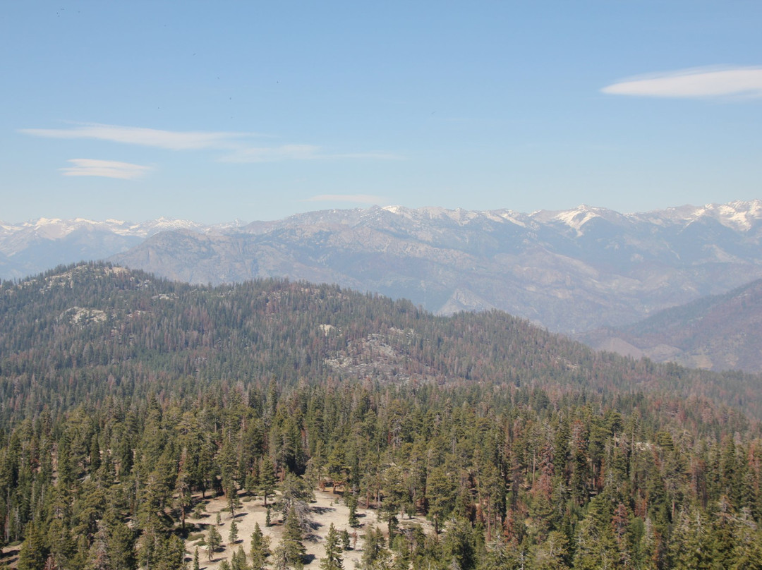 Buck Rock Lookout-红杉&国王峡谷国家公园必去景点