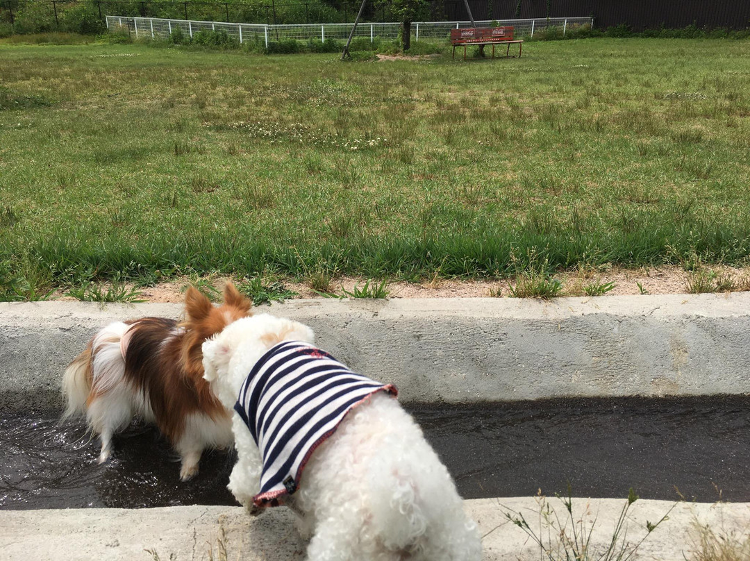 Wanwan Park-阿贺野市必去景点