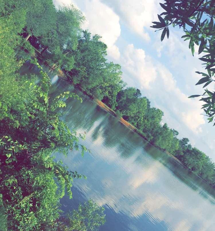 Basil Griffin Park-鲍灵格林必去景点